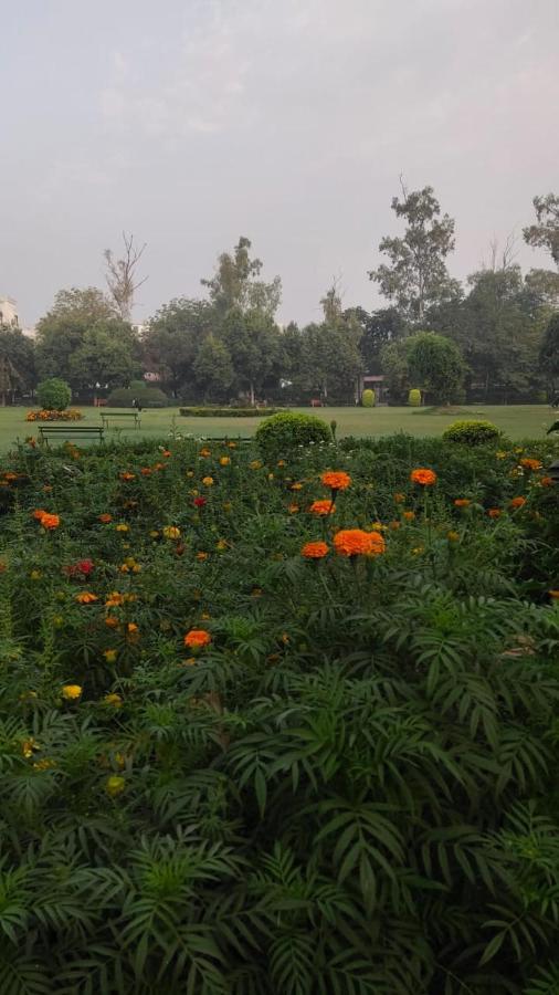 Maplewood Guest House, Neeti Bagh, New Delhiit Is A Boutiqu Guest House - Room 5 Nova Deli Exterior foto