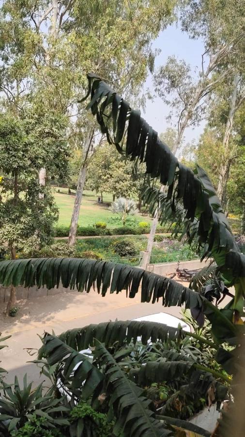 Maplewood Guest House, Neeti Bagh, New Delhiit Is A Boutiqu Guest House - Room 5 Nova Deli Exterior foto